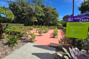 Get it 'right' maze at Amaze World.
