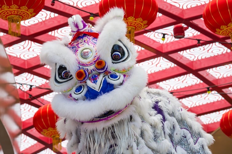 BCC chinese dancing lion