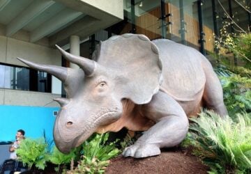 dinosaur at the queensland museum