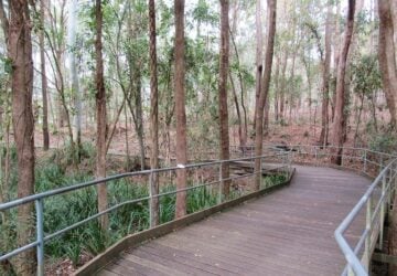 walking tracks at macdowall brisbane