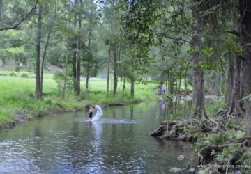 white cedar creek waterhole