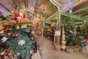 Christmas paraphernalia inside Fraser's Fresh Harvest Barn at Granite Belt Christmas Farm.