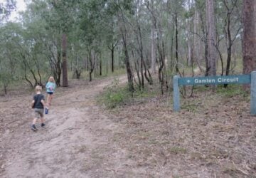 Kids doing the Gamlen Circuit trail