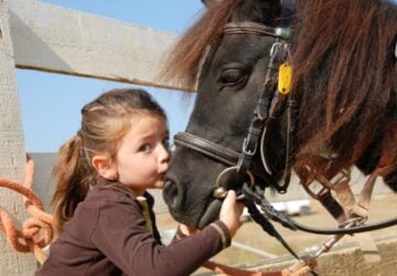 horseriding