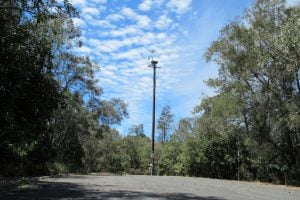 Osprey House nest 1