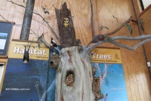 Osprey House tree