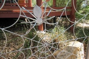 Osprey House web