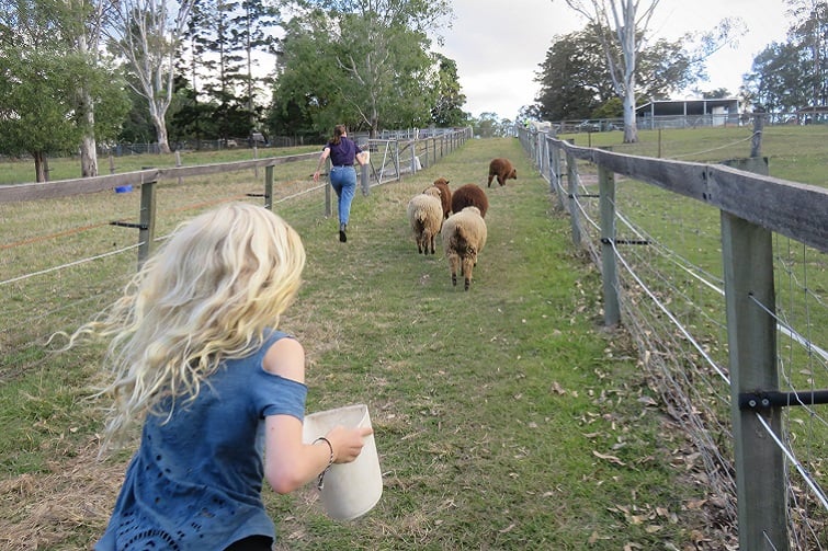 trevena glen farm
